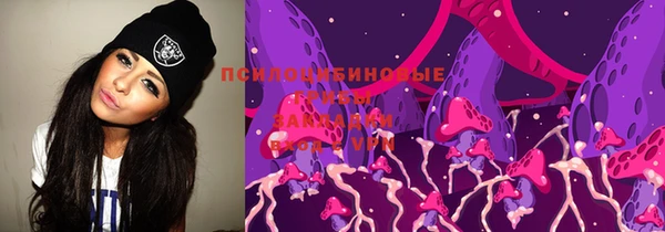тгк Осташков