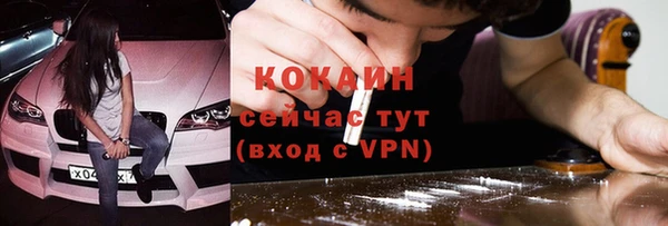 шишки Осинники