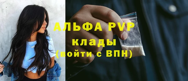 шишки Осинники