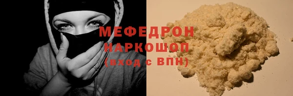 сатива Няндома