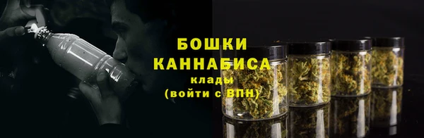 шишки Осинники