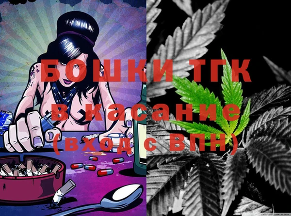шишки Осинники