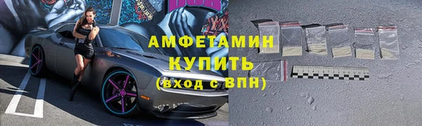 шишки Осинники